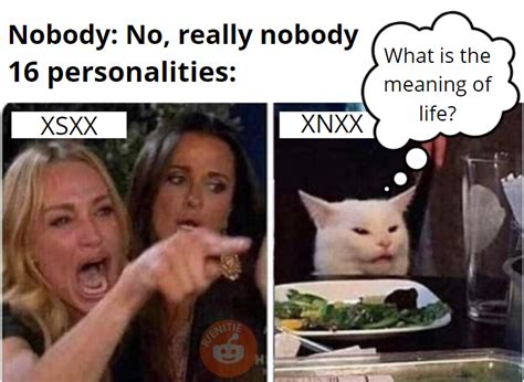XSXX & XNXX Compatibility : r/mbti .